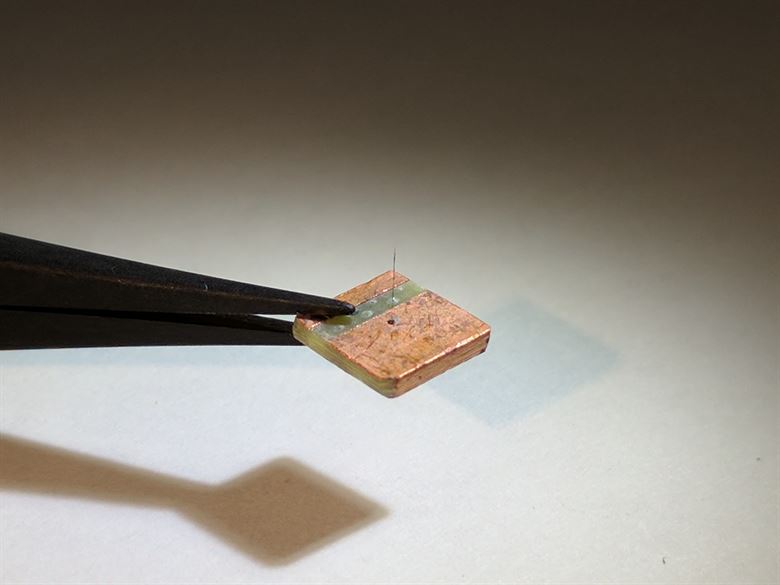 Crickets, bats inspire researchers to develop smart ‘hair’ sensors for flight