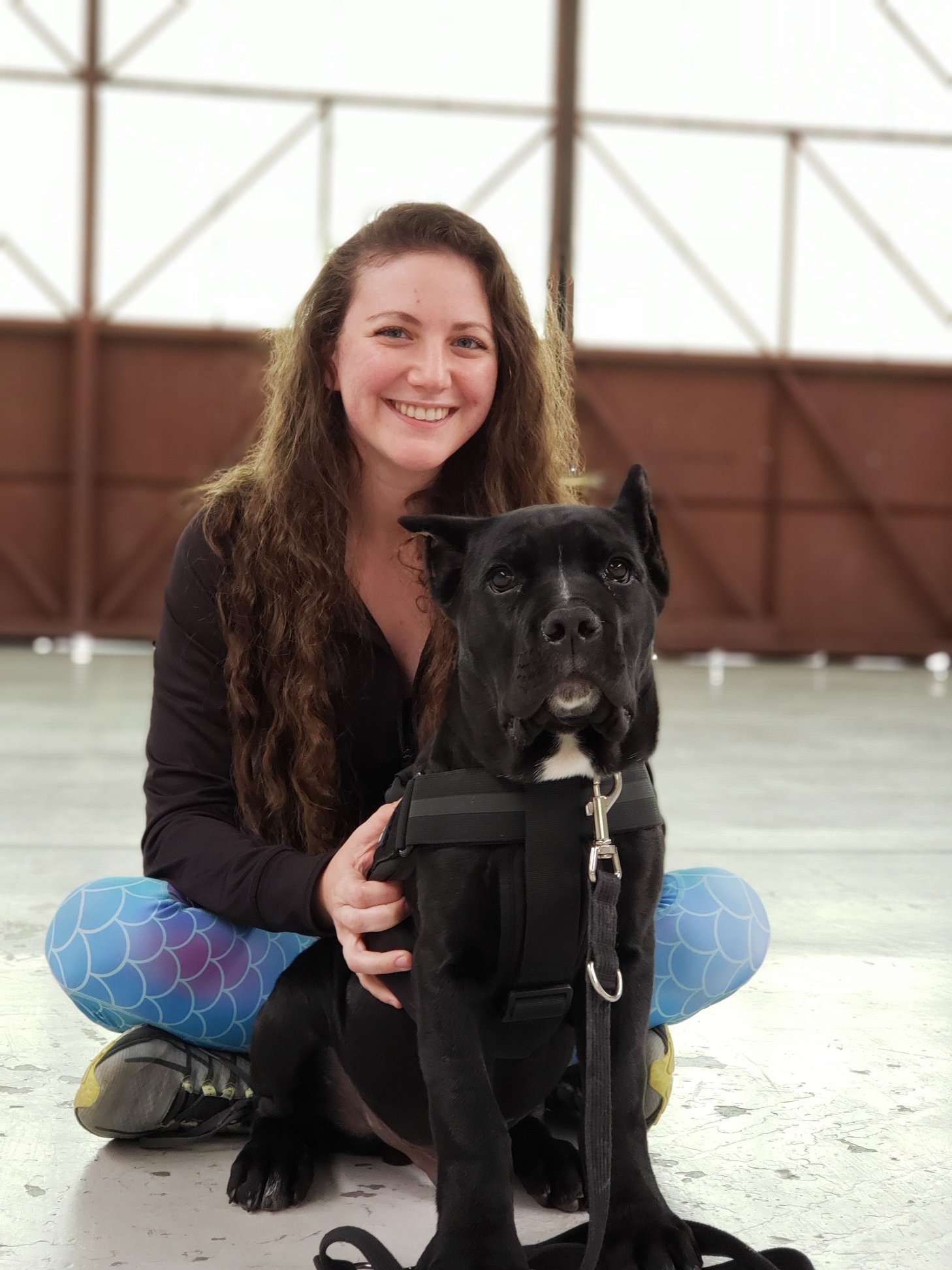 Episode 27: Sonic Booms & Service Dogs