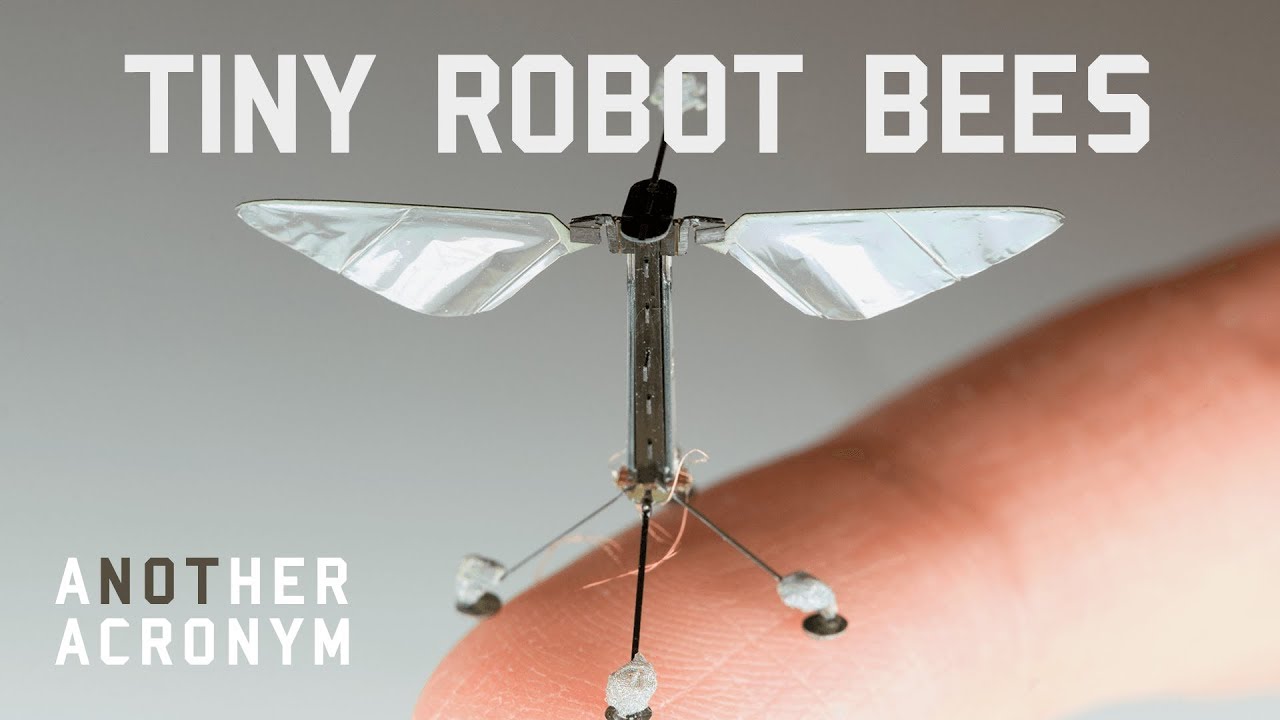 Not Another Acronym | Micro-Robots