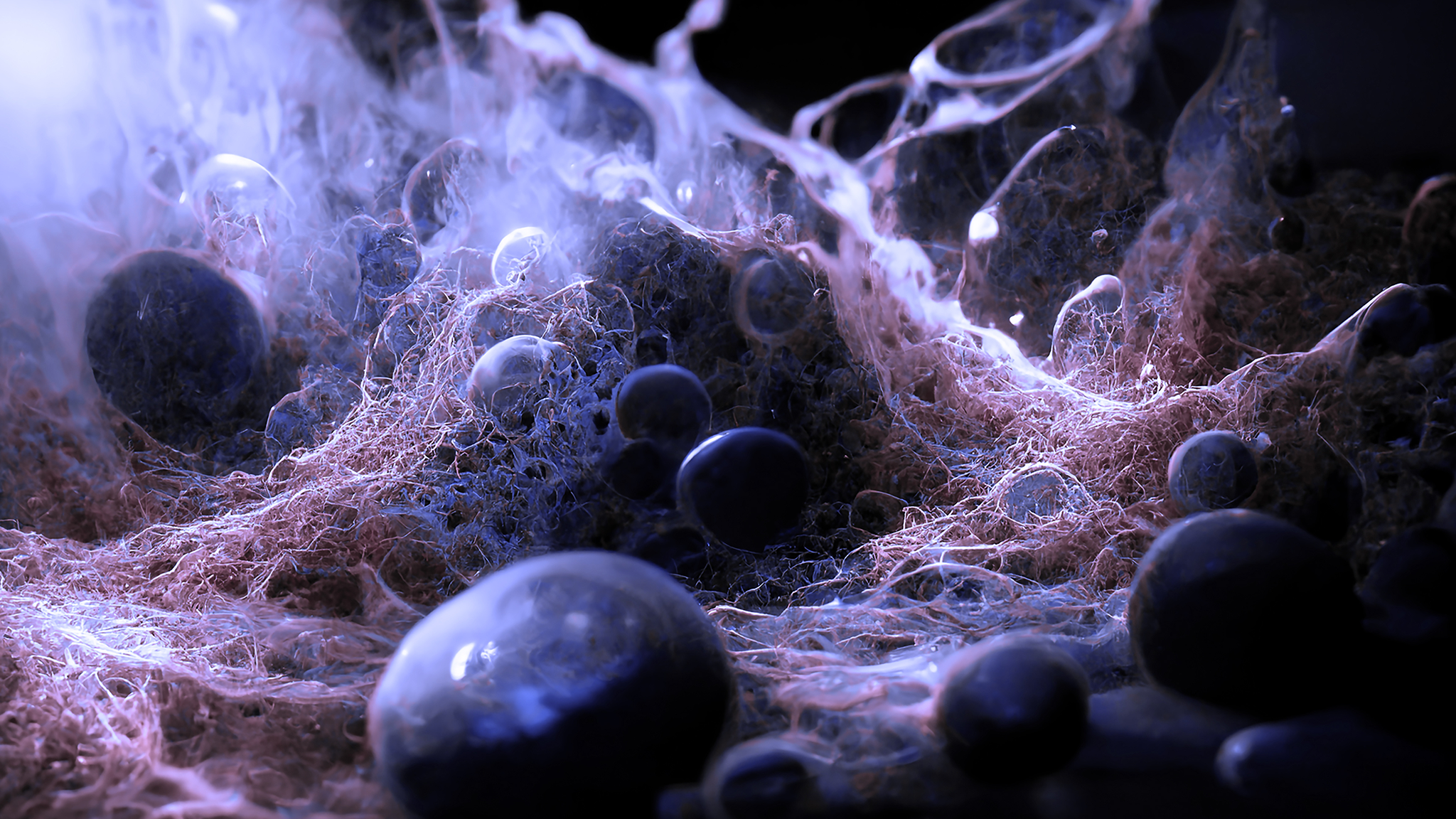 QUANTUM OPTICAL MICROSCOPE