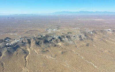 Episode 34: Space Force, Tortoises and Steve Carell