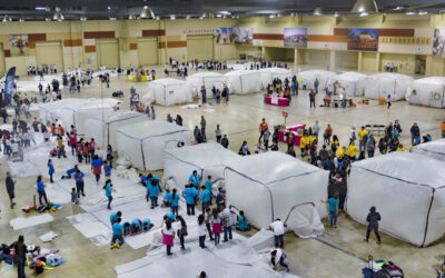 Episode 35: Building STEM Education, Brick-by-Brick