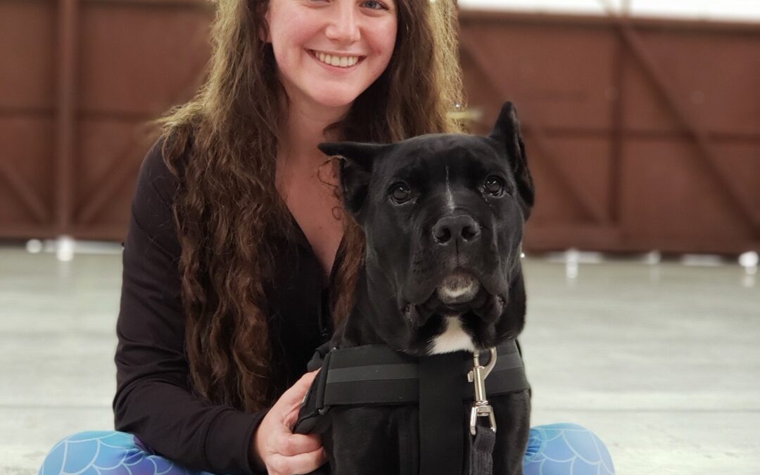 Episode 27: Sonic Booms & Service Dogs