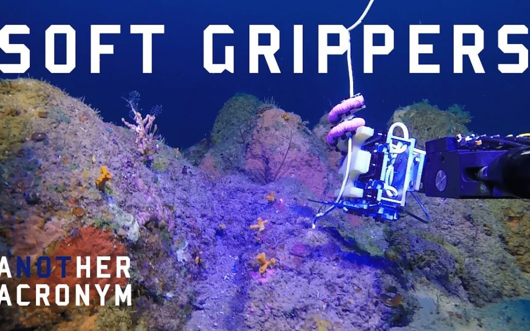 Not Another Acroynm | Soft Robotics