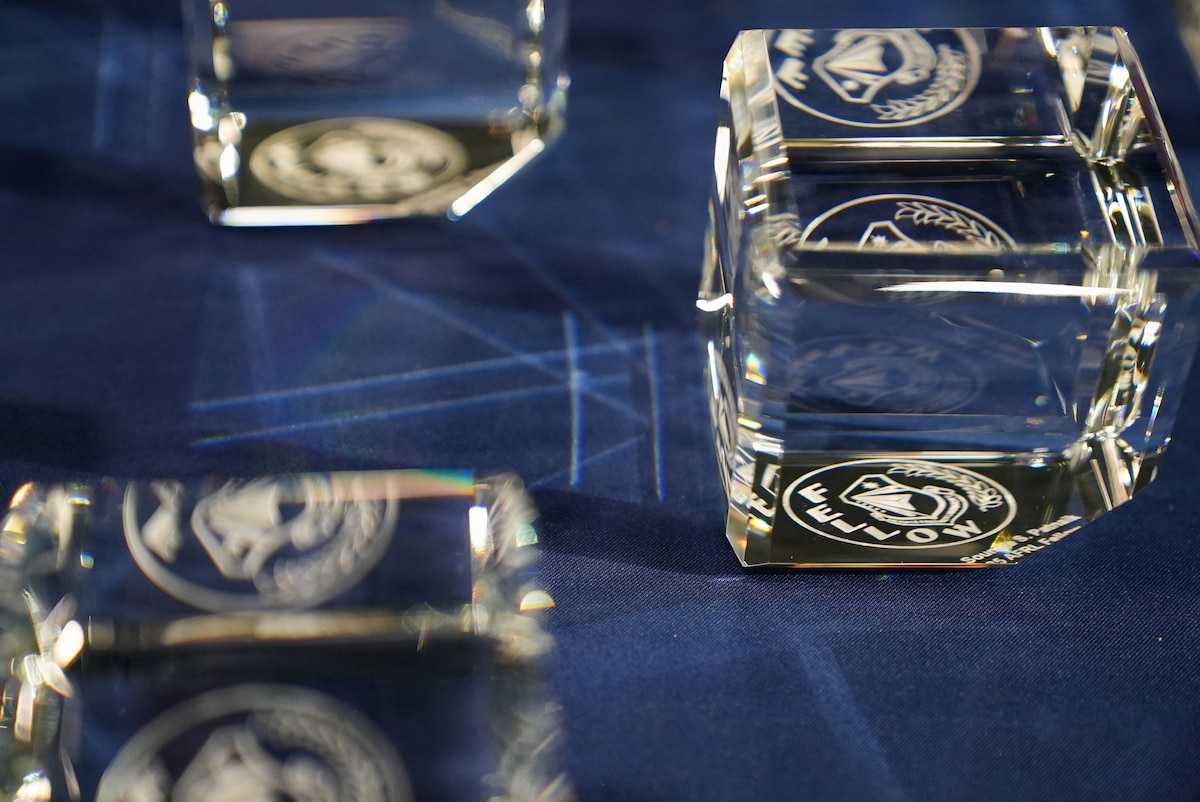2025 Fellows and ECAs awards